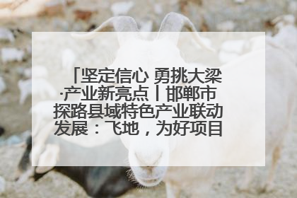 坚定信心 勇挑大梁·产业新亮点丨邯郸市探路县域特色产业联动发展：飞地，为好项目跨域安个家