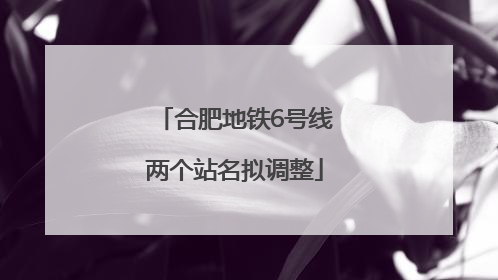 合肥地铁6号线两个站名拟调整