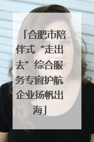 合肥市陪伴式“走出去”综合服务专窗护航企业扬帆出海