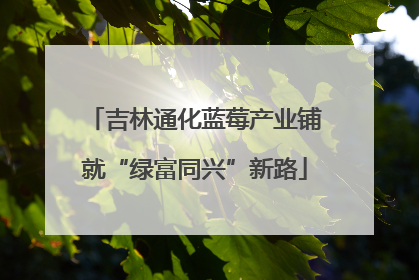 吉林通化蓝莓产业铺就“绿富同兴”新路