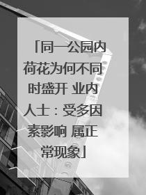 同一公园内荷花为何不同时盛开 业内人士：受多因素影响 属正常现象