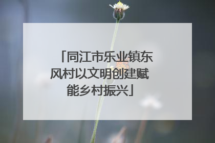同江市乐业镇东风村以文明创建赋能乡村振兴