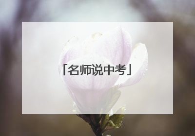 名师说中考