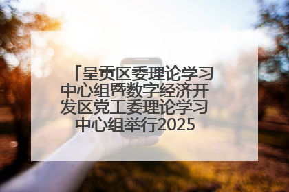 呈贡区委理论学习中心组暨数字经济开发区党工委理论学习中心组举行2025年第七次学习会议