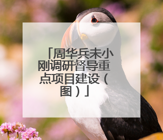 周华兵未小刚调研督导重点项目建设（图）