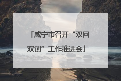 咸宁市召开“双回双创”工作推进会