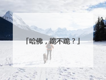 哈佛，跪不跪？