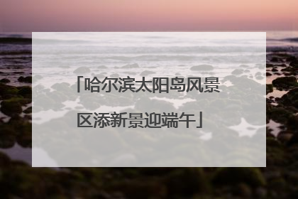 哈尔滨太阳岛风景区添新景迎端午
