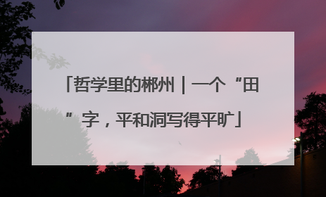 哲学里的郴州｜一个“田”字，平和洞写得平旷