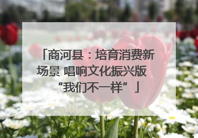 商河县：培育消费新场景 唱响文化振兴版“我们不一样”