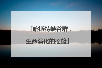 喀斯特峡谷群：生命演化的摇篮