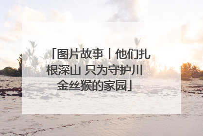 图片故事丨他们扎根深山 只为守护川金丝猴的家园