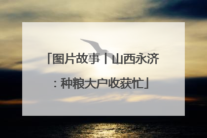 图片故事丨山西永济：种粮大户收获忙