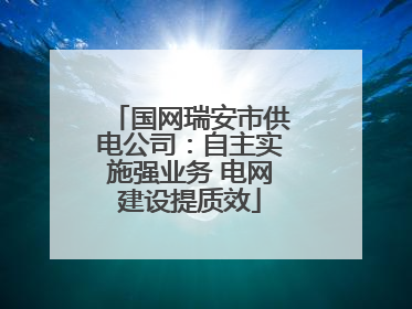 国网瑞安市供电公司：自主实施强业务 电网建设提质效