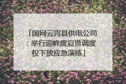 国网云霄县供电公司：举行迎峰度夏暨调度权下放应急演练