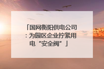 国网衡阳供电公司：为园区企业拧紧用电“安全阀”