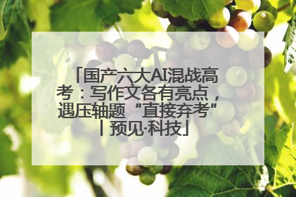 国产六大AI混战高考：写作文各有亮点，遇压轴题“直接弃考”丨预见·科技