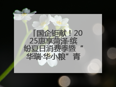 国企钜献！2025惠享菏泽·缤纷夏日消费季暨“华瑞·华小粮”青岛啤酒节启幕！
