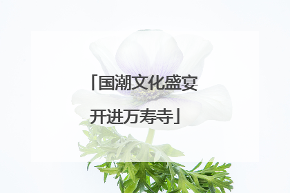 国潮文化盛宴开进万寿寺