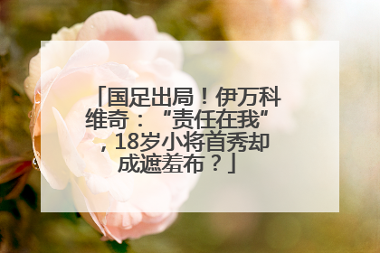 国足出局！伊万科维奇：“责任在我”，18岁小将首秀却成遮羞布？