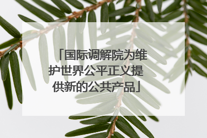 国际调解院为维护世界公平正义提供新的公共产品