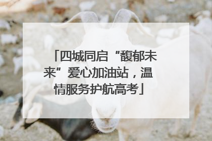四城同启“馥郁未来”爱心加油站，温情服务护航高考