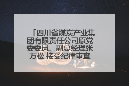 四川省煤炭产业集团有限责任公司原党委委员、副总经理张万松 接受纪律审查和监察调查