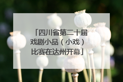 四川省第二十届戏剧小品（小戏）比赛在达州开幕