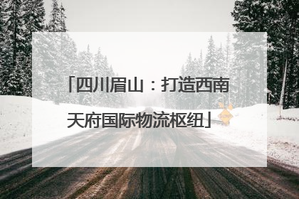 四川眉山：打造西南天府国际物流枢纽