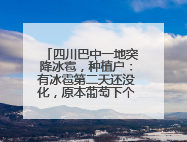 四川巴中一地突降冰雹，种植户：有冰雹第二天还没化，原本葡萄下个月上市，现在全被打落