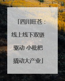 四川旺苍：线上线下双链驱动 小枇杷撬动大产业
