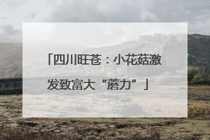 四川旺苍：小花菇激发致富大“蘑力”