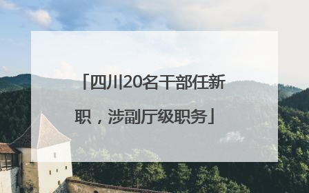 四川20名干部任新职，涉副厅级职务