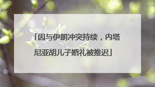 因与伊朗冲突持续，内塔尼亚胡儿子婚礼被推迟