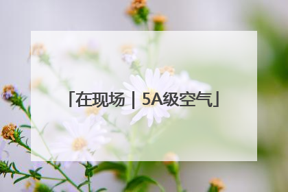 在现场｜5A级空气