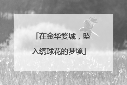 在金华婺城，坠入绣球花的梦境