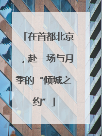 在首都北京，赴一场与月季的“倾城之约”