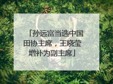 孙远富当选中国田协主席，王晓莹增补为副主席
