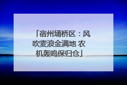 宿州埇桥区：风吹麦浪金满地 农机轰鸣保归仓