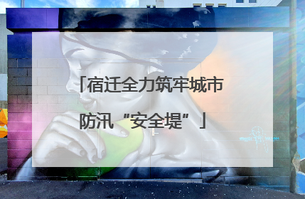 宿迁全力筑牢城市防汛“安全堤”