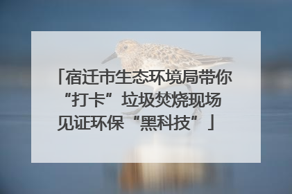 宿迁市生态环境局带你“打卡”垃圾焚烧现场 见证环保“黑科技”