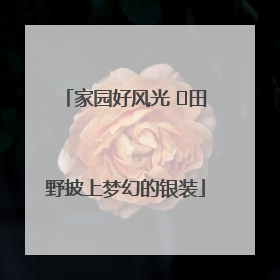 家园好风光 ⎮田野披上梦幻的银装