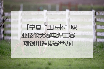 宁夏“工匠杯”职业技能大赛电焊工赛项银川选拔赛举办