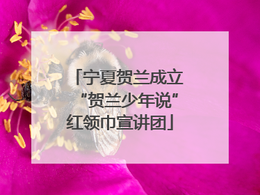 宁夏贺兰成立“贺兰少年说”红领巾宣讲团
