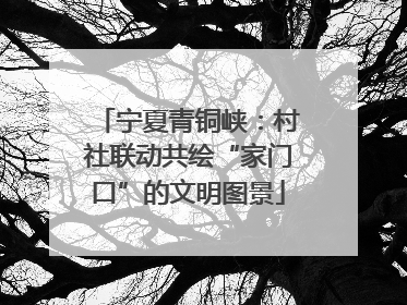 宁夏青铜峡：村社联动共绘“家门口”的文明图景