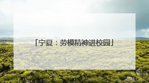 宁夏：劳模精神进校园
