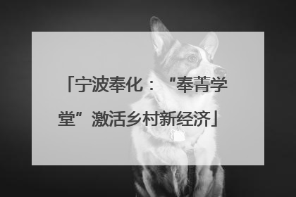 宁波奉化：“奉菁学堂”激活乡村新经济