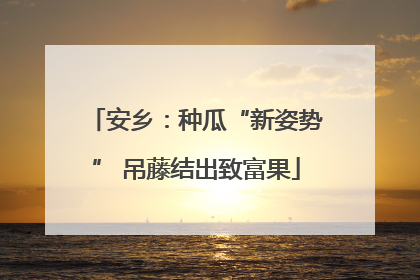 安乡：种瓜“新姿势” 吊藤结出致富果