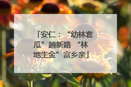 安仁：“幼林套瓜”趟新路 “林地生金”富乡亲