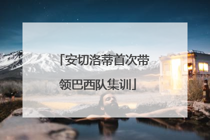 安切洛蒂首次带领巴西队集训